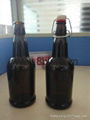 Beer bottles 1