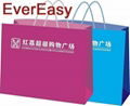 printed paper carrier bag for promotion