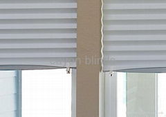 blinds