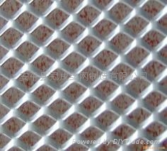 沖拉菱形網 圈玉米鋼板網 重型鋼板網 3