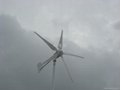 600w wind turbine generator 2