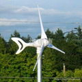 China 300w wind turbine generator manufacturer 3
