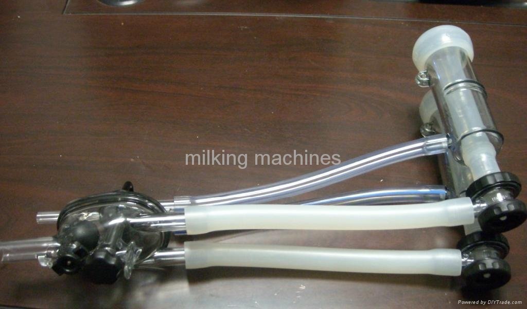 Italy Interpuls Goat Sheep Milking Cluster With Silicone Liner ITP207 