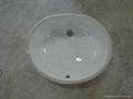 Pure whit ceramic sinks