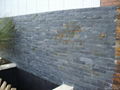 Wall Slate Stone