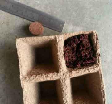 Coir Disc For Propagation Trays 2