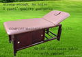 stationary massage table with cabinet 1