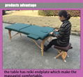 MT-007R portable massage table 4