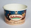 Disposable Ice Cream Paper Cup 1