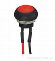 Plastic push button switch/push button