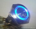 vandal resistant illuminated switch/pressure switch