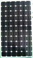 solar  panel  poly  100w