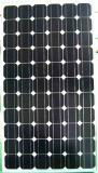 solar  panel  poly  100w