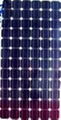 solar  panel  poly  175w 1