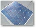 solar  panel  poly  140w 1