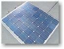 solar  panel  poly  140w
