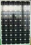 solar  panel  poly  110w