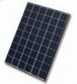 solar  panel  poly  90w