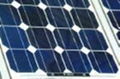 solar  panel  poly  50w