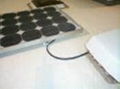 solar  panel  poly  20w