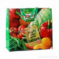 plastic advertising promotional bag