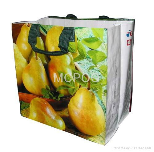 colorful printing grocery bag for promotion 5