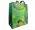 reusable plastic shopping bag with zipper 3