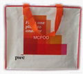 pp woven promotion bag printed with logo 2