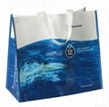 PE woven laminated promotional bag 3