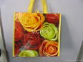 non woven bag hand shopping bag for promotion 2