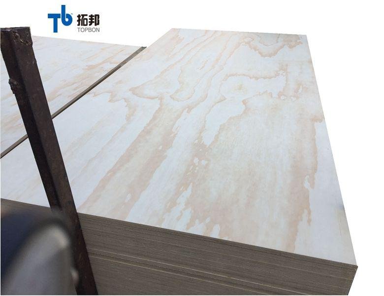 Commercial Plywood/Furniture Plywood/Plywood with Competitive Price 2