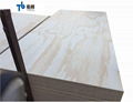 Commercial Plywood/Furniture Plywood/Plywood with Competitive Price