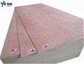 Commercial Plywood/Furniture Plywood/Plywood with Competitive Price 3