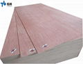 Commercial Plywood/Furniture Plywood/Plywood with Competitive Price