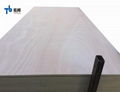 Commercial Plywood/Furniture Plywood/Plywood with Competitive Price