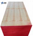 Commercial Plywood/Furniture Plywood/Plywood with Competitive Price