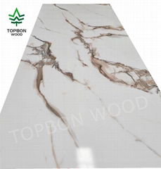  UV Marble High Glossy Plastic Sheet PVC Wall Panels 3mm for Interior Design