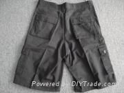 supply Design short trousers+Chinese pants supplier