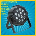 12*10W 4IN1 LED Par Light (BS-2012) 1