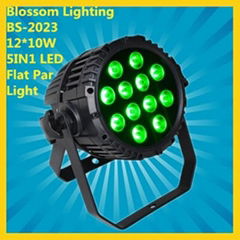 12*10W 5IN1 LED PAR Light IP65 (BS-2022)