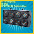 96*3W LED RGB Audience Light (BS-2901)