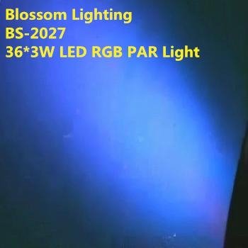 36*3W RGB LED Par64 Light (BS-2027) 3