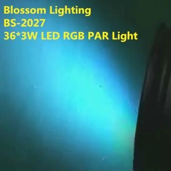 36*3W RGB LED Par64 Light (BS-2027) 5