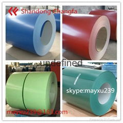 cold rolled galvanized steel sheet