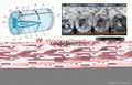 cold rolled hot dip steel  galvanized coil 5