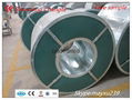 coated steel coil 3