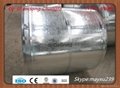 coated steel coil 4