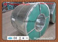 coated steel coil 5