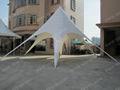 Single top star shade made of PVC Fabric and aluminum poles  2