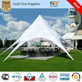 Single top star shade made of PVC Fabric and aluminum poles  5